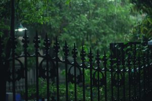 A scenic view of a rain-soaked garden with a decorative metal fence and lush greenery, captured on a moody evening.